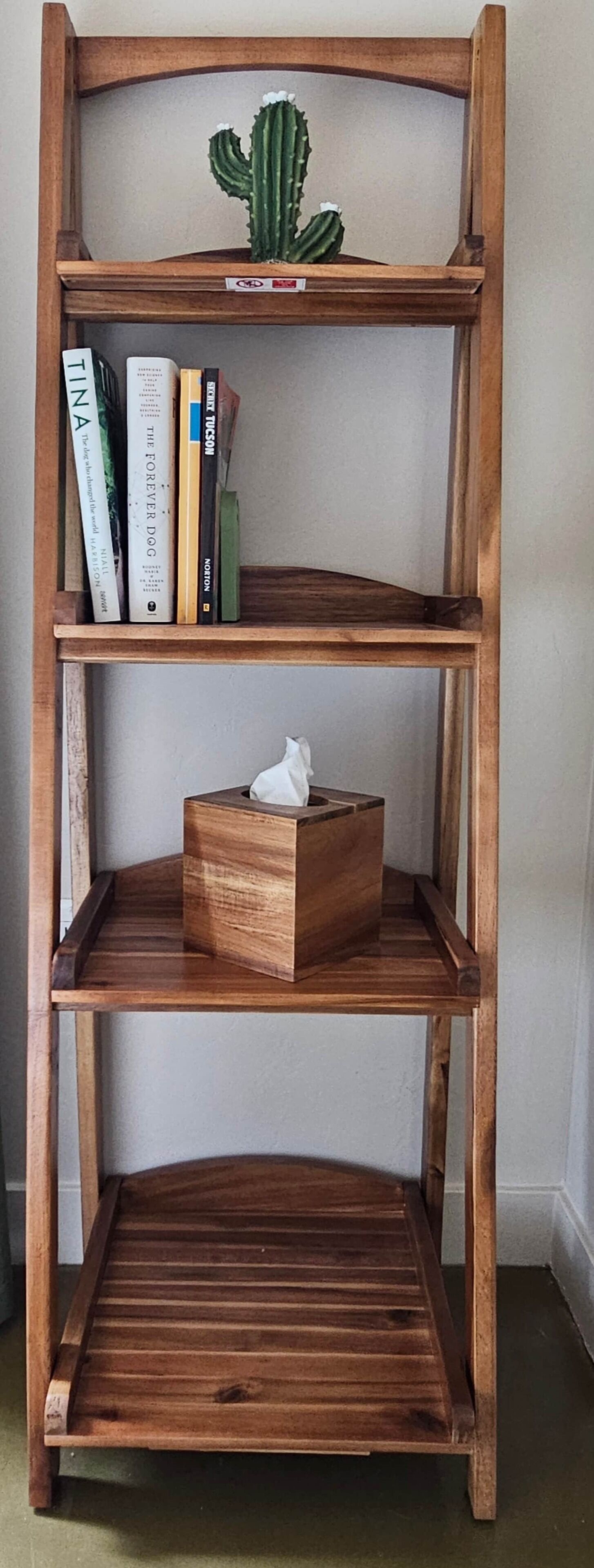 Ein Holzregal mit drei Ablagen, wobei eine Bücher und einen Kaktus beherbergt.