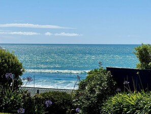 Vista costeira com céu claro, ondas do oceano e vegetação em primeiro plano.