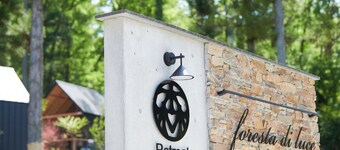 morinoretreat foresta di luce