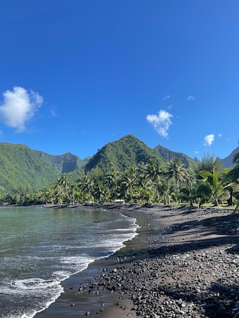 A beach with a rocky shoreline, palm trees, and mountains in the background.. Pension Terehaunui Teahupoo