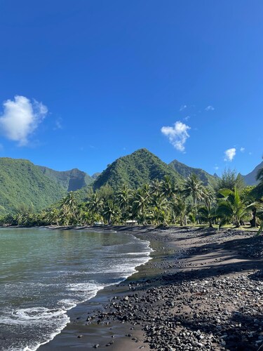 Pension Terehaunui Teahupoo