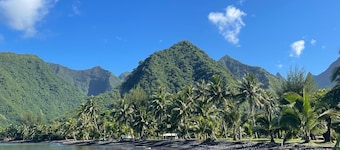 Pension Terehaunui Teahupoo