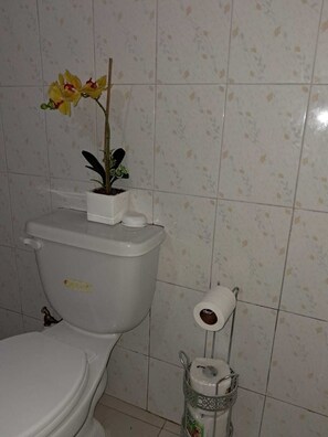 Toallas, jabón, papel higiénico