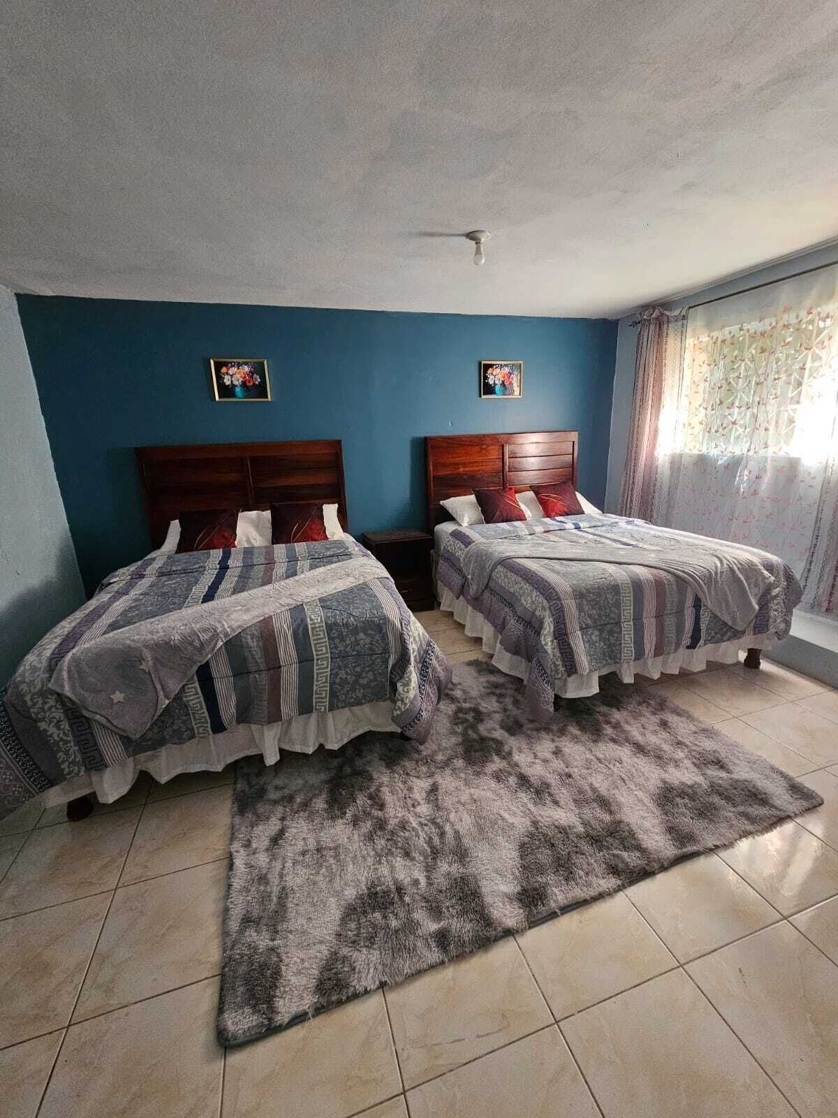 1 camera, ferro/asse da stiro, Wi-Fi, lenzuola