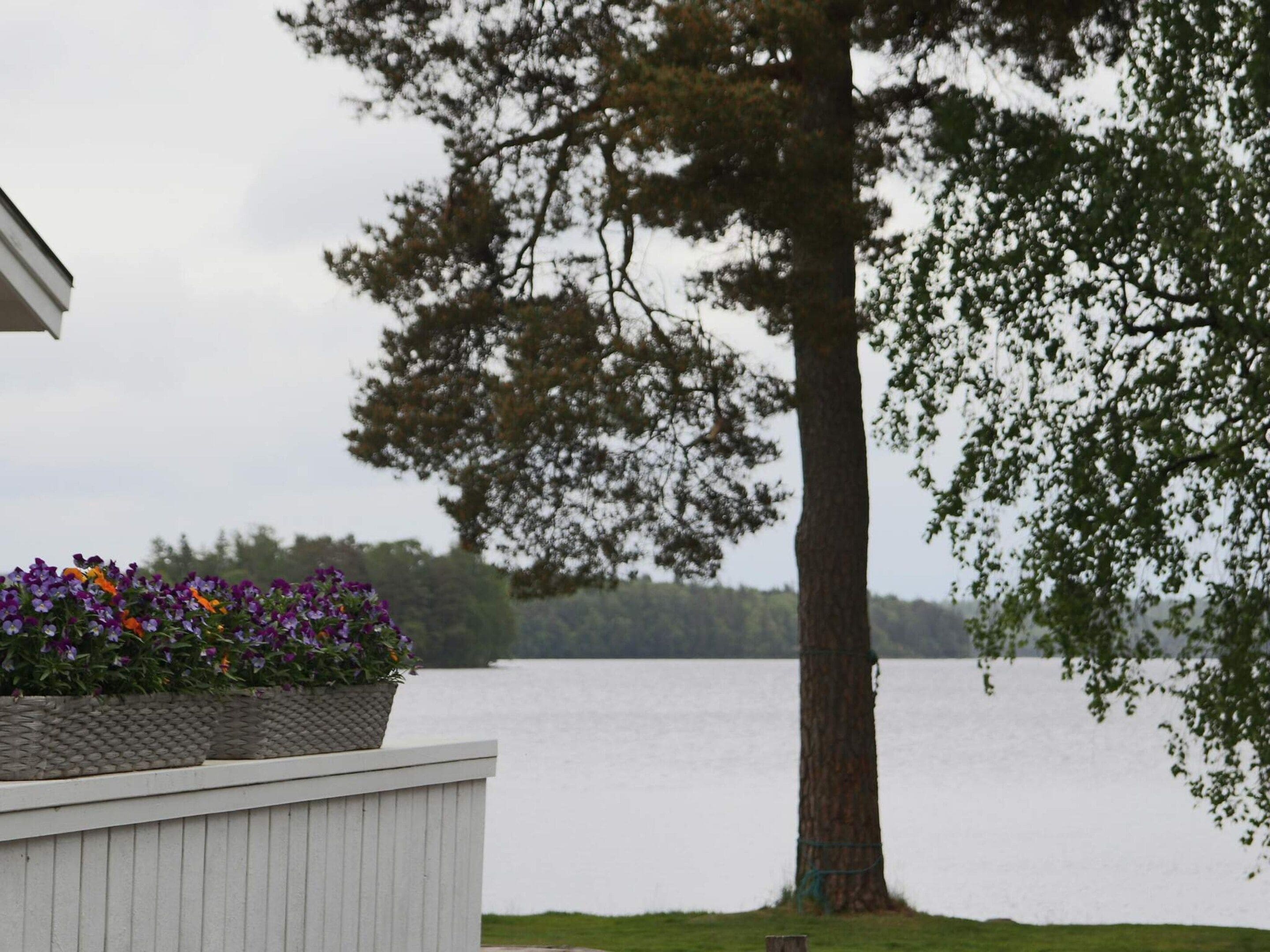 A building with a flower planter in front, a large tree to the right, and a body of water in the background.