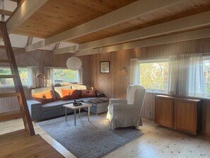 A wooden-paneled room with a sofa, armchair, and a ladder. - 4 Star Holiday Home in Sejero (Sejero)