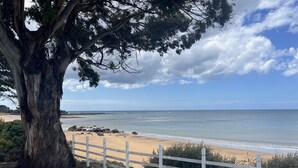 A coastal landscape with a large tree, a sandy beach, and a white fence.