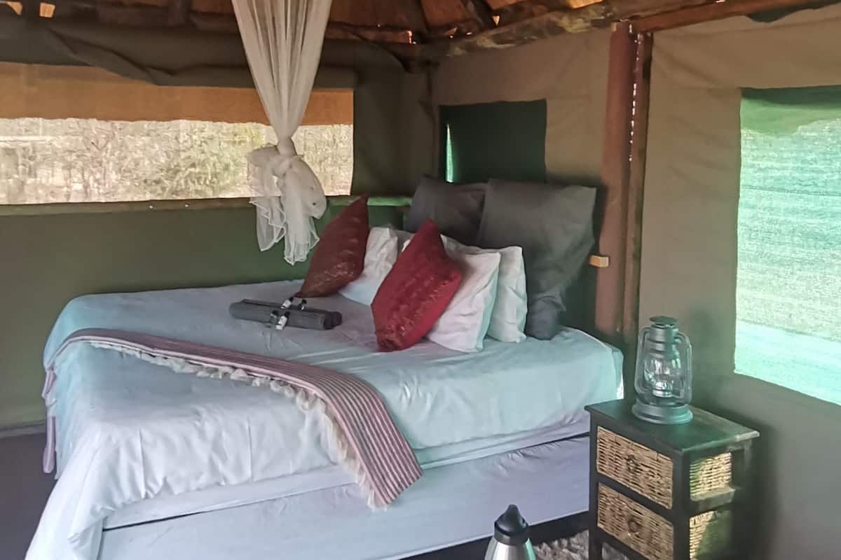 A bed with pillows, a bedside table with a lamp, and a window with a view.
