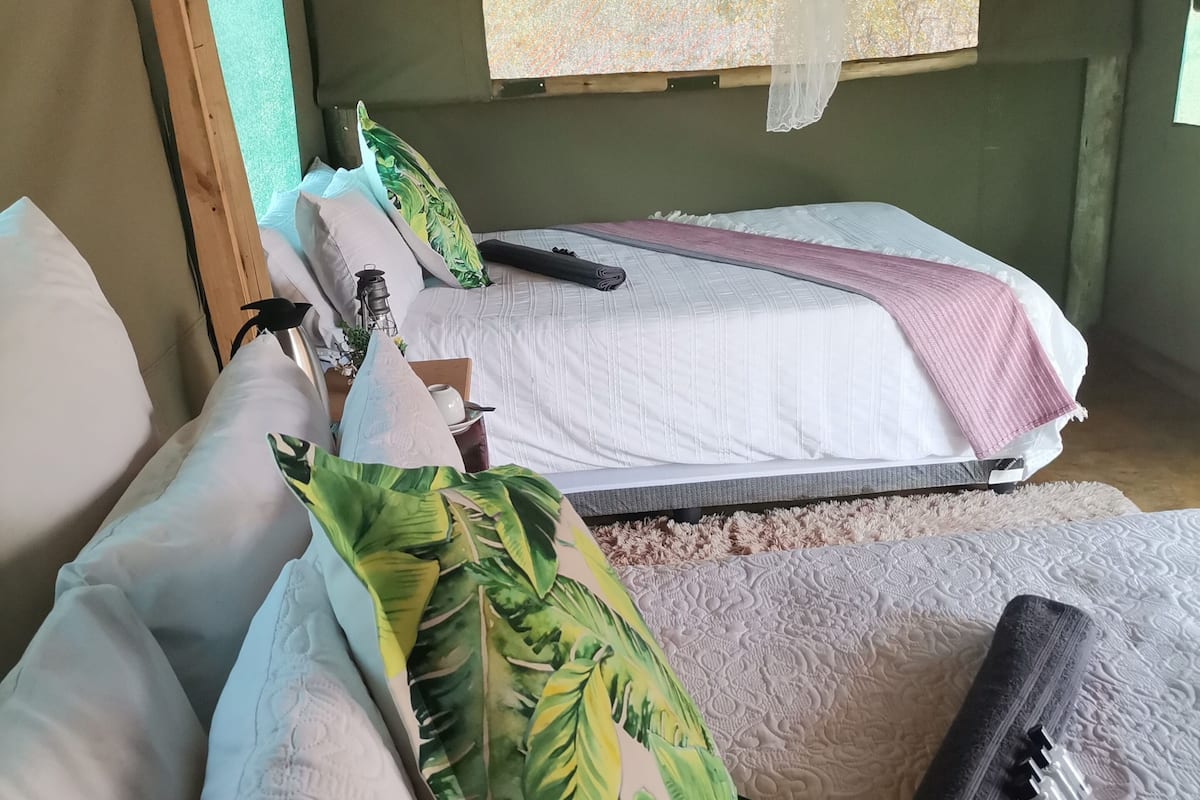 A room with two beds, each with a pillow and a blanket. There is a window with a view of trees.