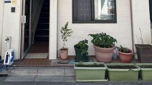 A building entrance with a sliding door, a small window, and several potted plants.