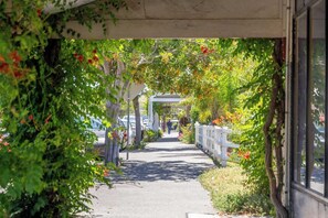 A pathway lined with greenery and a white fence, leading to a covered area with a person walking. - Little Bird Port Elliot, Walk to Beaches & Cafes (Port Elliot)