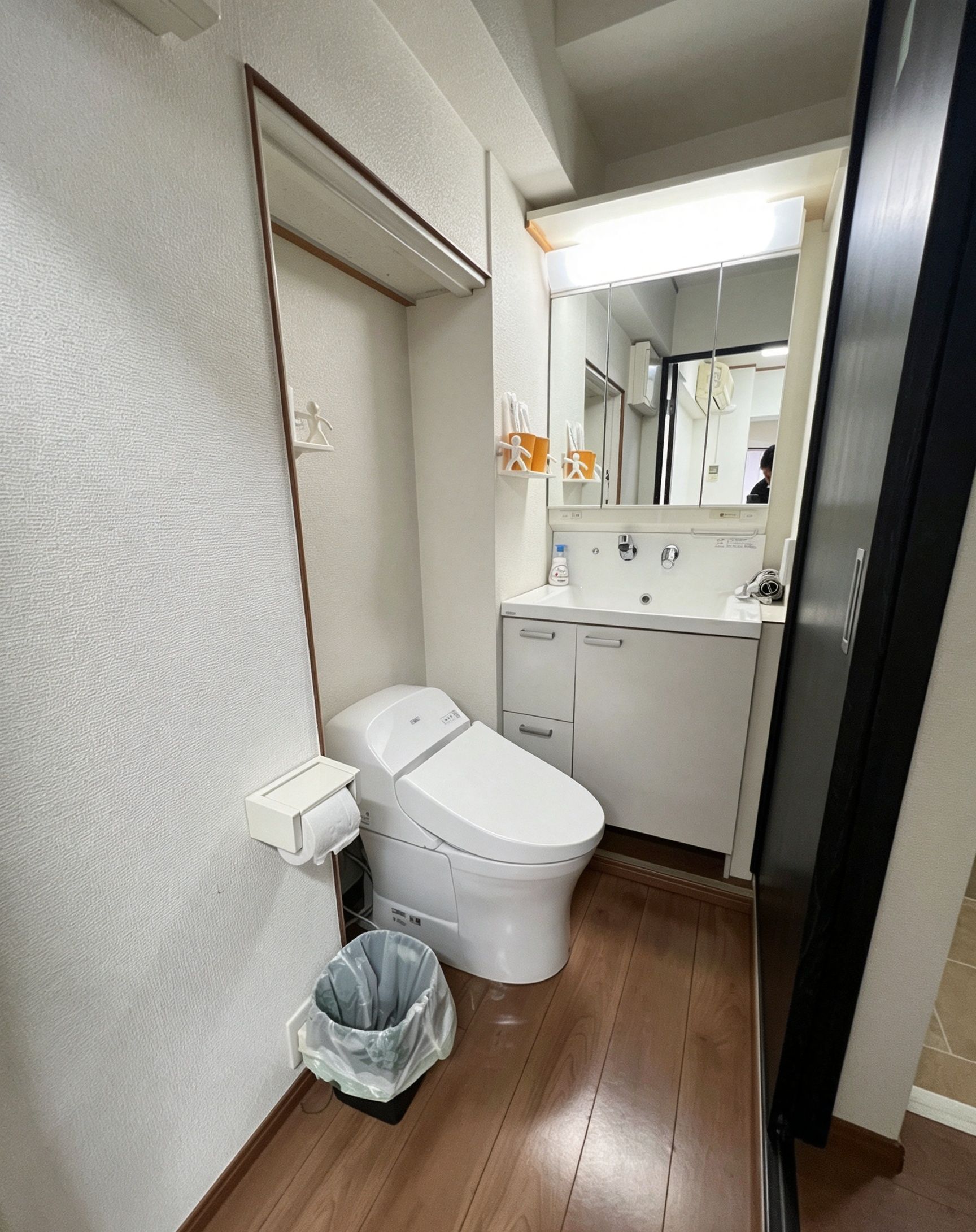 Een kleine badkamer met toilet, wastafel en spiegel.