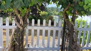 A white picket fence with vines growing over it, a tree trunk, and a view of a beach and greenery in the background. - 2-bedroom house in tranquil Grapeview perfect for relaxing getaways (Grapeview)