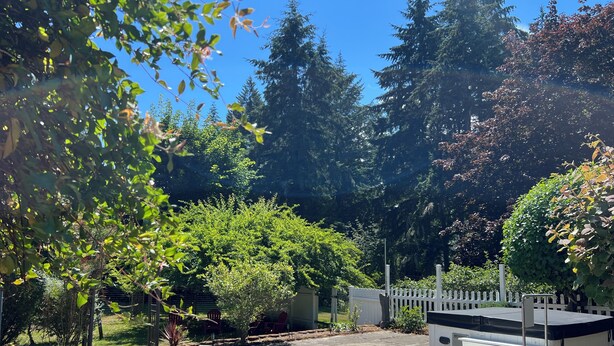A patio area with a white fence, a covered outdoor seating area, and various trees and shrubs. - 2-bedroom house in tranquil Grapeview perfect for relaxing getaways (Grapeview)