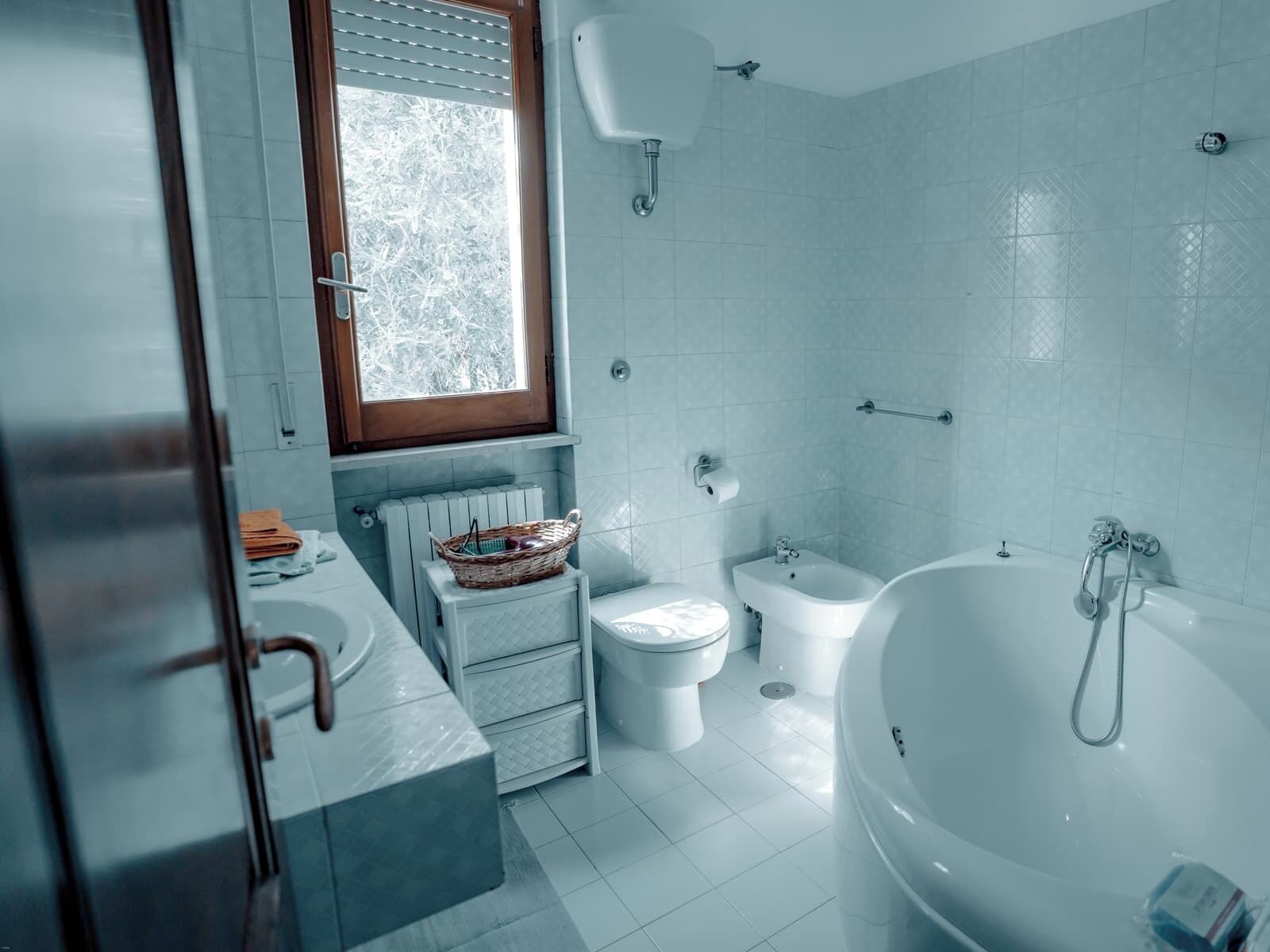 Hair dryer, bidet, towels