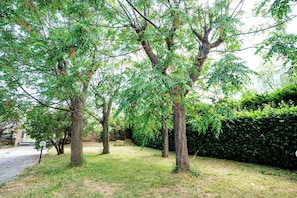 Un'area verde con alberi e un siepe.
