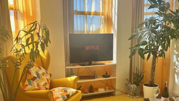 A living room with a yellow armchair, a flat-screen TV, a coffee table, and two potted plants. - Central Apartment in London Bridge! (London)