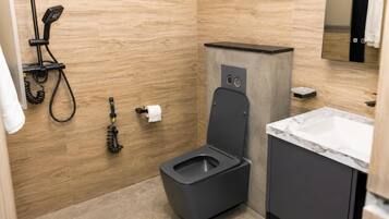 Shower, hair dryer, bidet, towels