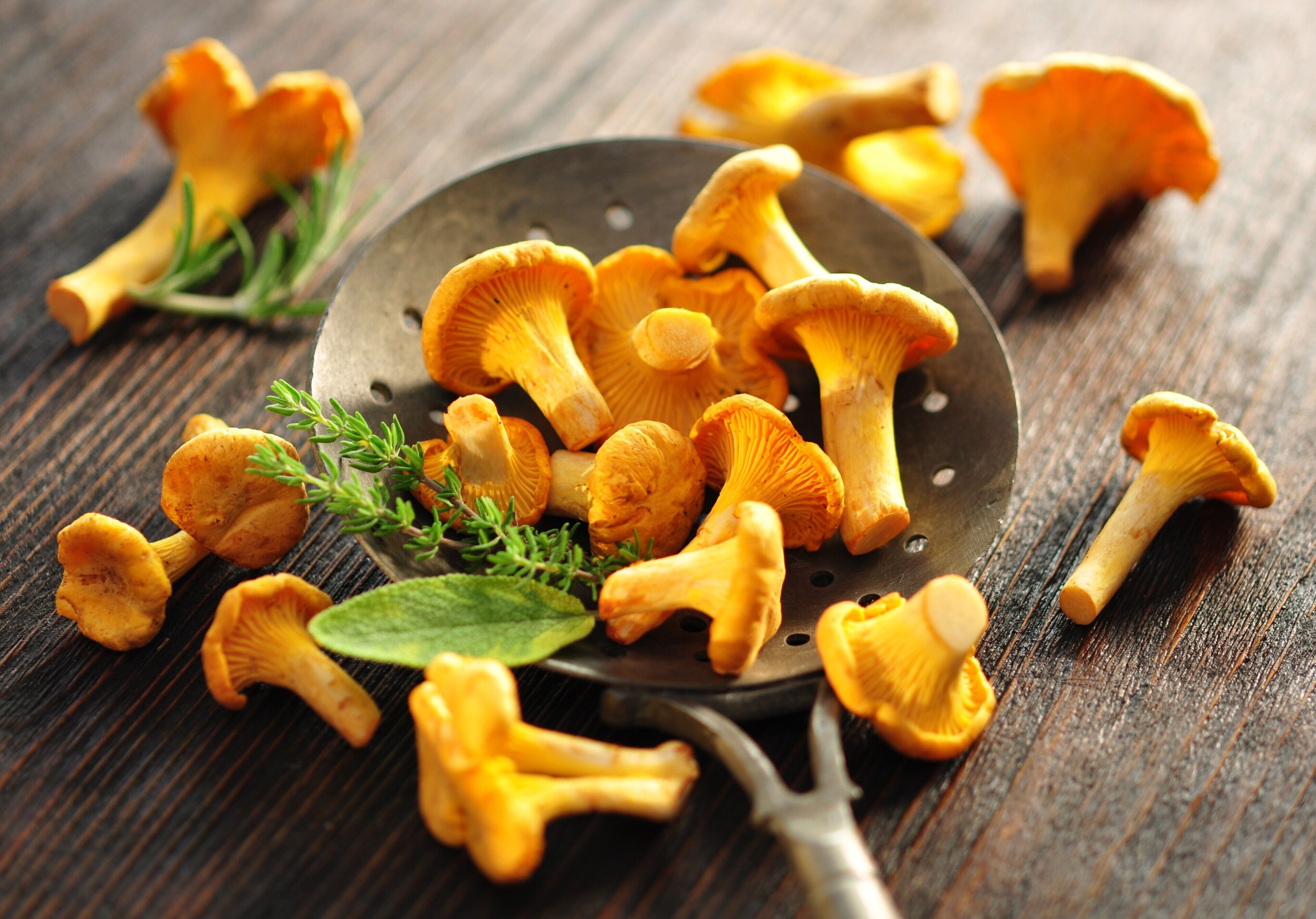 Une passoire en métal, ornée de champignons jaunes et d’herbes vertes, posée sur une surface en bois.