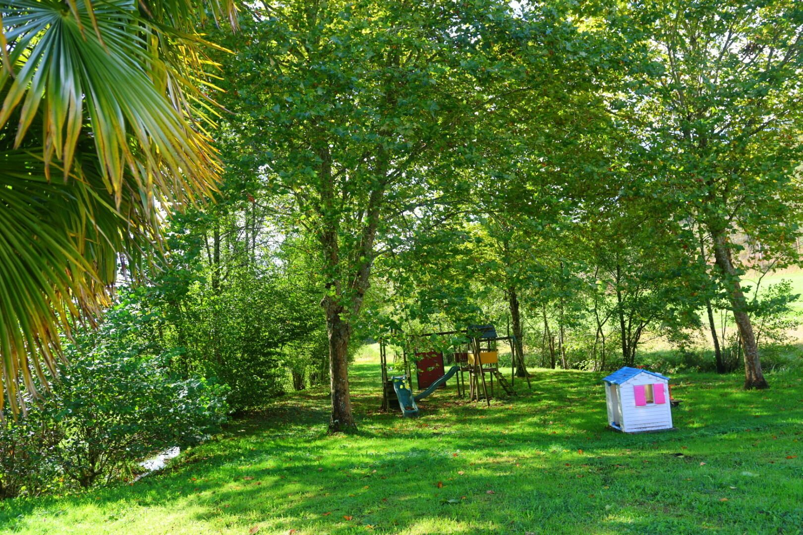 A lush green park with a playground, a small white house, and a palm tree.