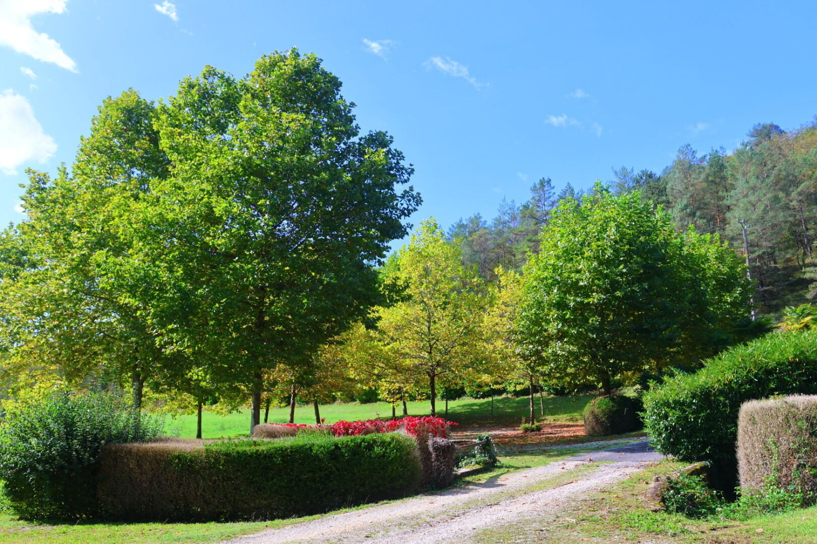 Un jardin bien entretenu, avec un chemin de gravier, des haies soigneusement taillées et une variété d’arbres.
