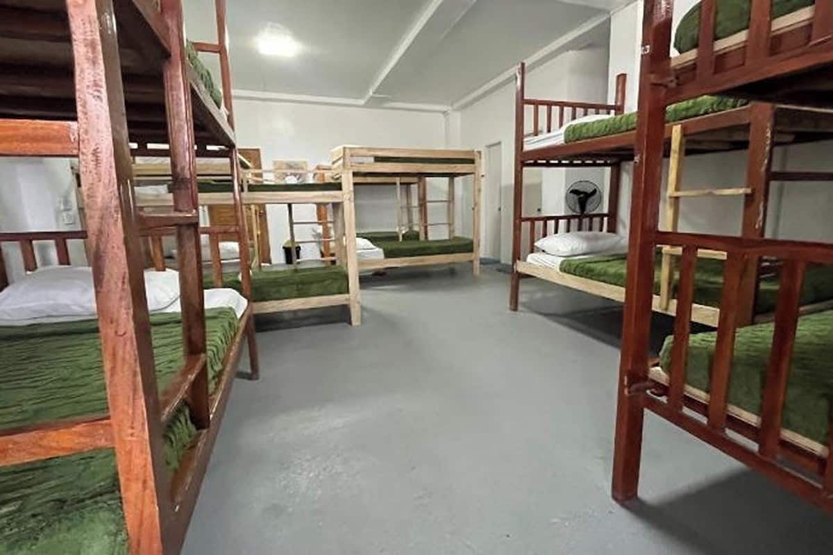 Una habitación con literas, una escalera de madera y una puerta blanca.
