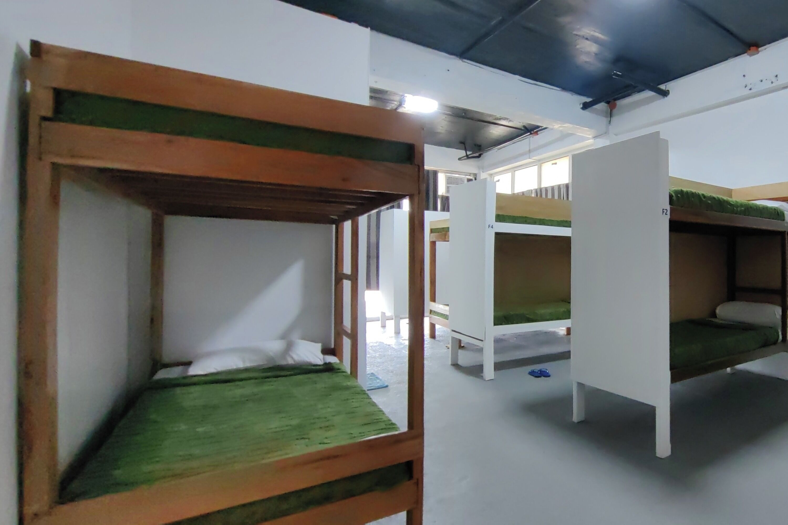 Shared Dormitory, Women only | Meja, Wi-fi percuma, cadar katil 