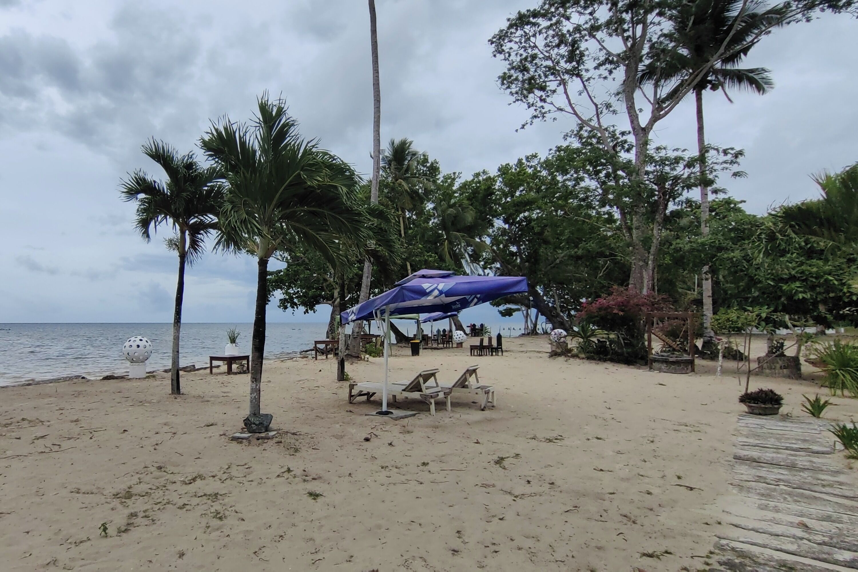 A beach with palm trees, a blue umbrella, and wooden lounge chairs.