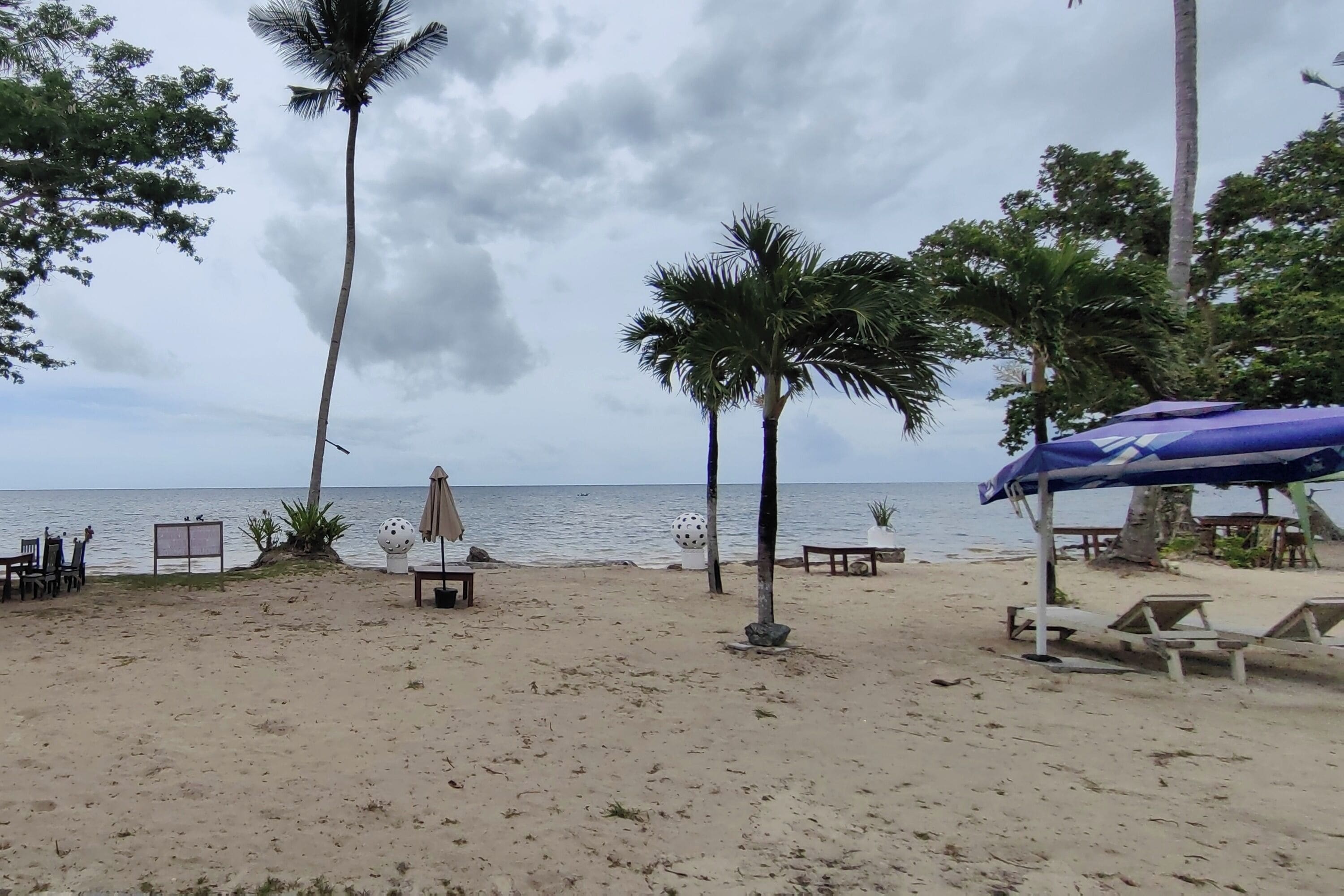 Una playa con palmeras, una orilla arenosa y vistas al mar.