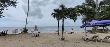 Una playa con palmeras, una orilla arenosa y vistas al mar.