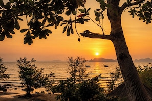 A tree with dense foliage in the foreground, a sunset over a body of water, and distant landforms.