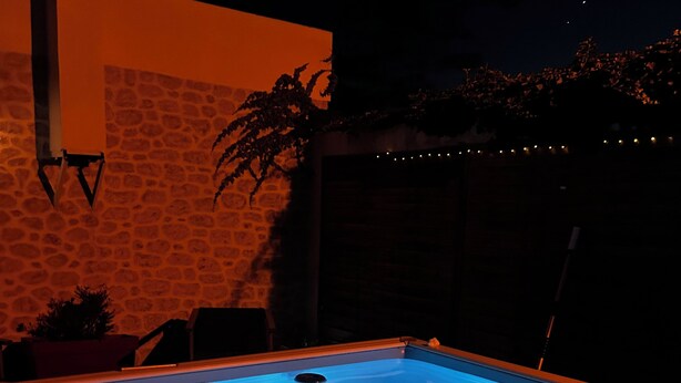 Piscina com muro de pedra e planta.