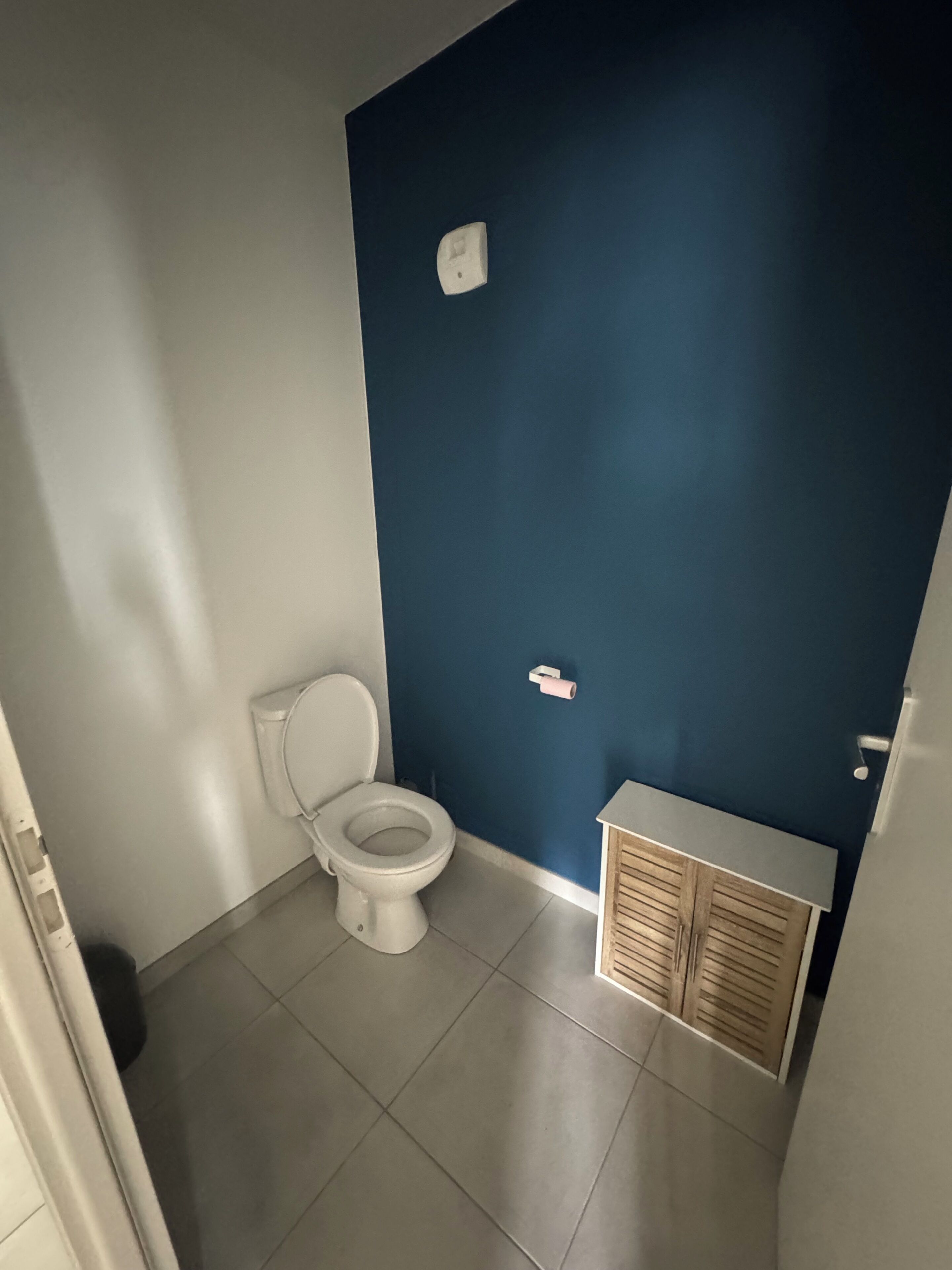A bathroom with a toilet, a cabinet, and a blue wall.. Apartment La Couronne
