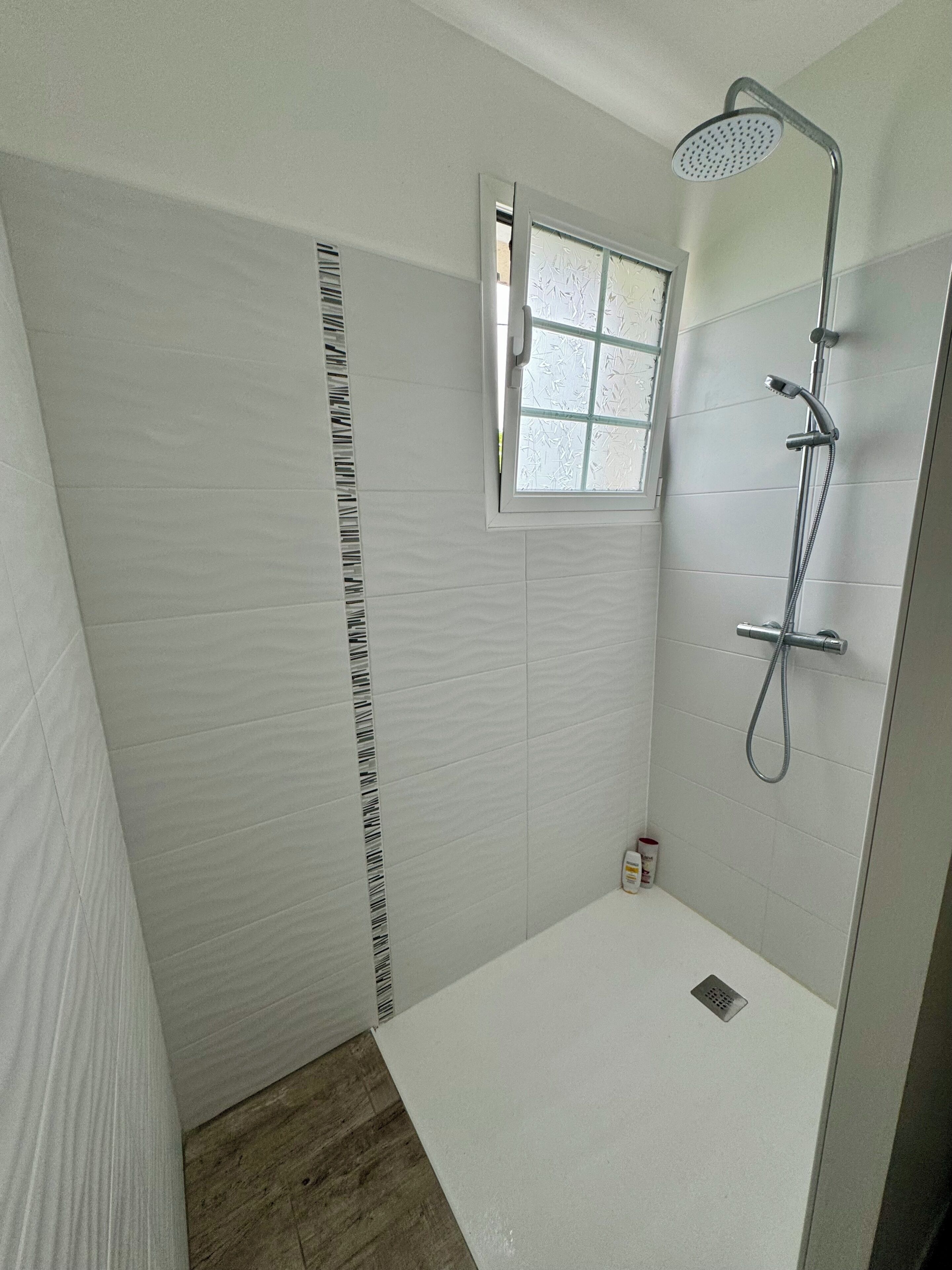 Shower, towels, toilet paper