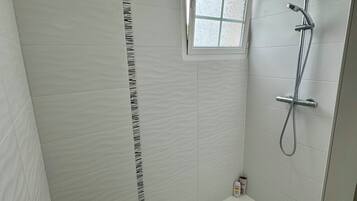 Shower, towels, toilet paper