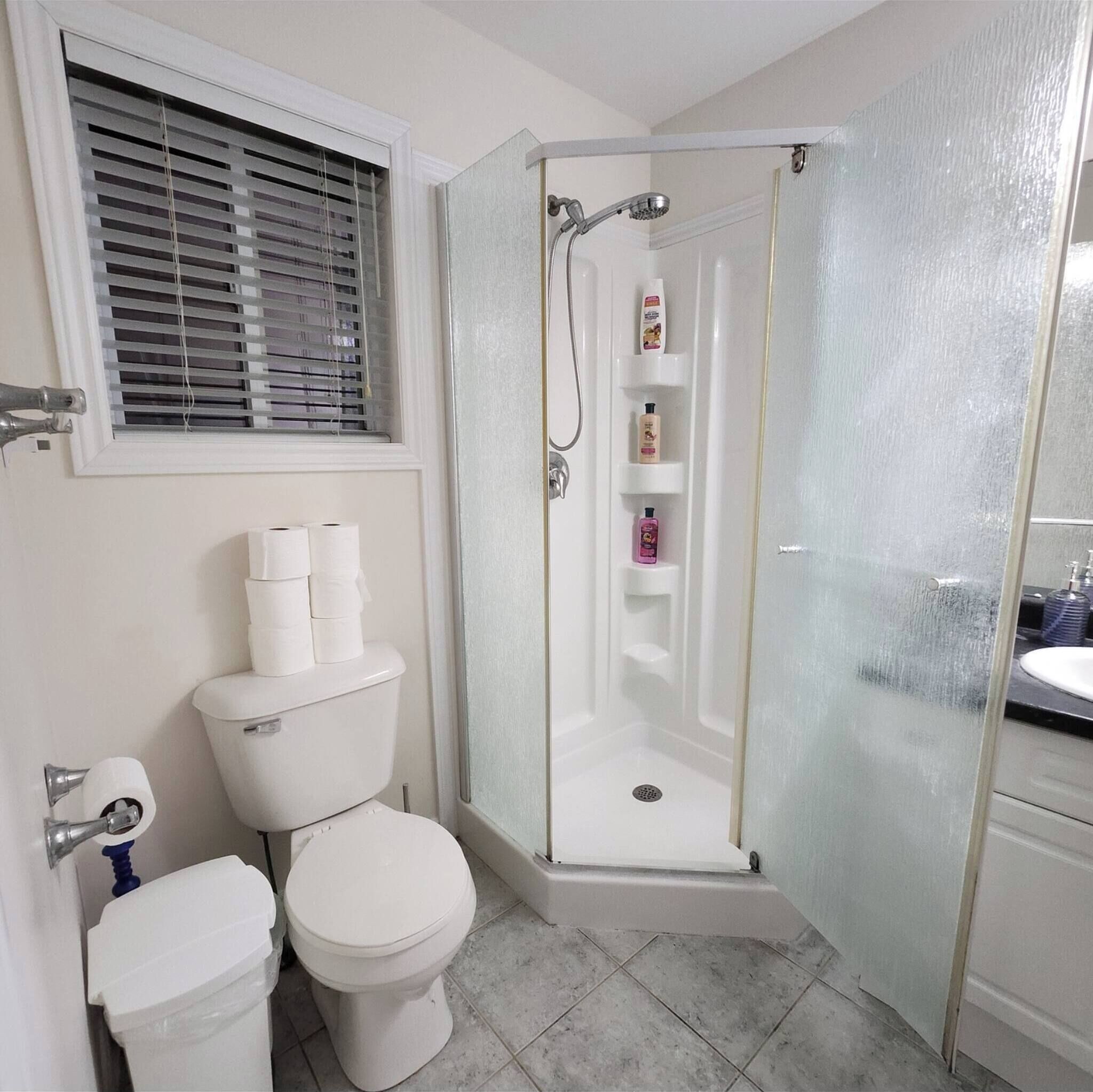 Shower, hair dryer, towels