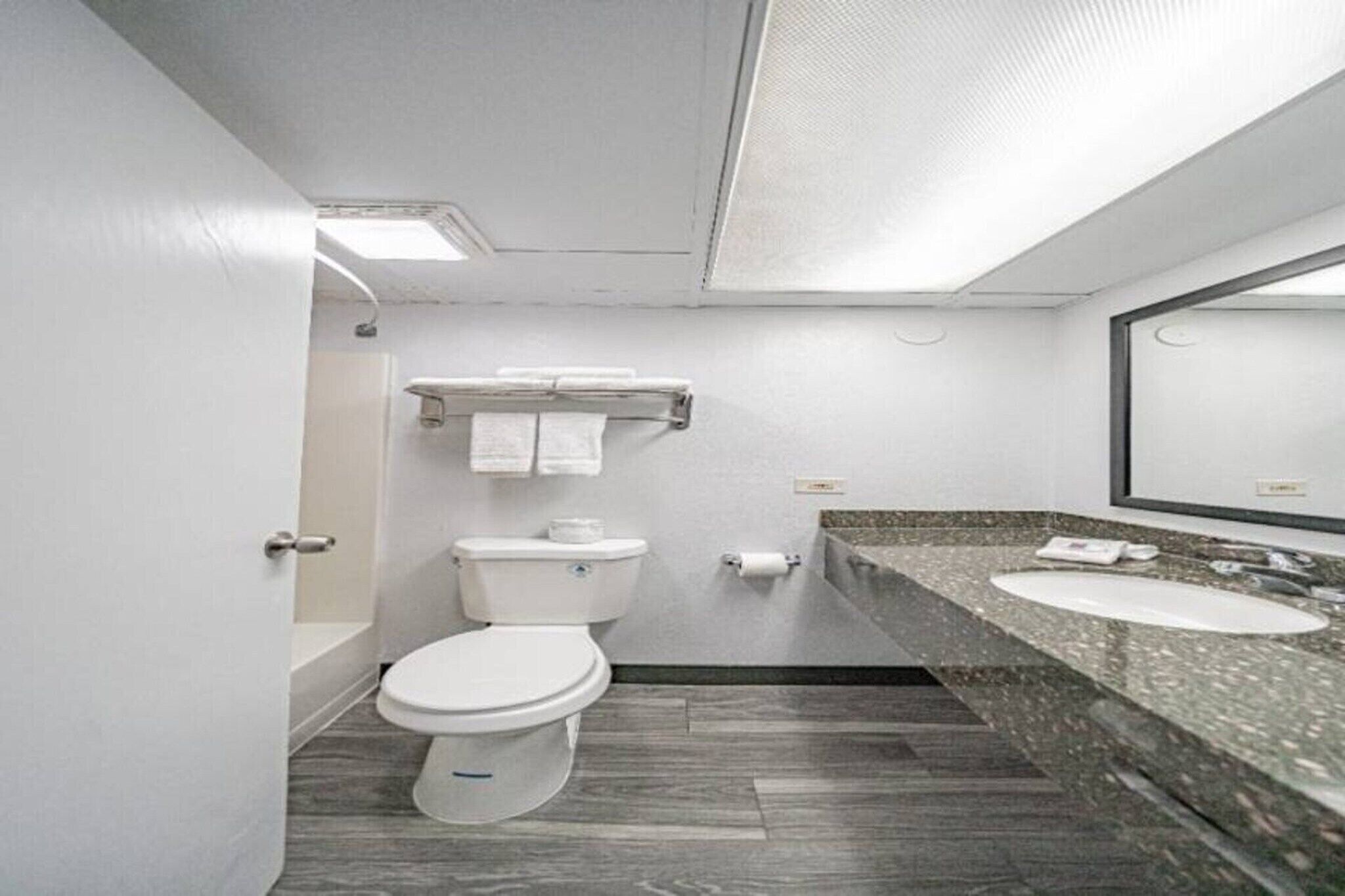A modern bathroom with a toilet, sink, and mirror.
