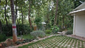 Un jardín con zona pavimentada, una palmera y un edificio de fachada blanca.
