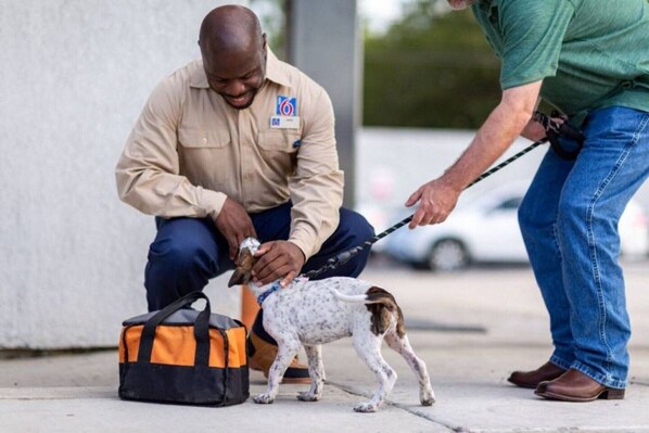 Una persona interactuando con un perro cerca de una bolsa en el suelo.