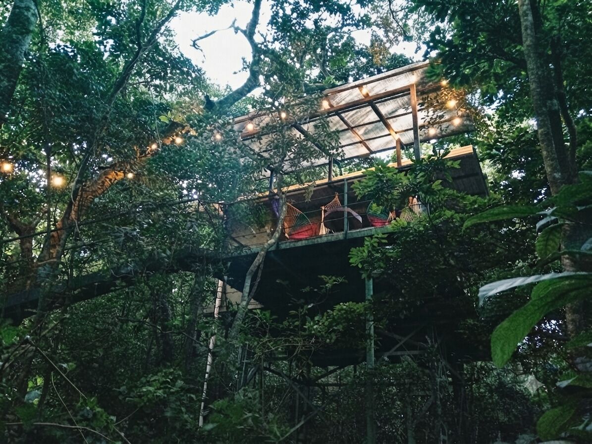 Panoramic Tree House, Balcony, Mountain View (Mono Aullador) | Terrace/patio