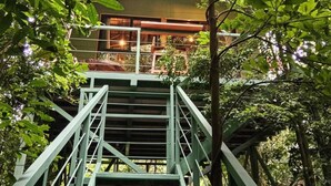 A staircase leading to a building surrounded by trees. - Jungle Living Tree Houses (Monteverde)
