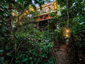 A rustic wooden structure elevated among dense foliage, with a pathway leading to it. - Jungle Living Tree Houses (Monteverde)