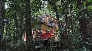 A treehouse with a glass enclosure, surrounded by dense forest. - Jungle Living Tree Houses (Monteverde)