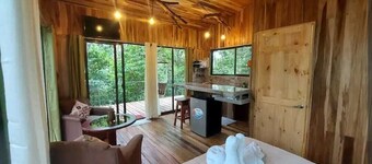 Jungle Living Tree Houses