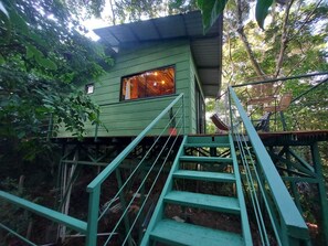 A treehouse with a staircase leading up to it, surrounded by dense foliage.