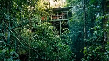 Panoramic Tree House, Balcony, Mountain View (Mono Aullador) | Front of property