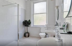 Une salle de bain moderne avec une douche à parois de verre, des toilettes, un lavabo et une plante en pot.