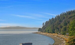 Une vue sur la côte, avec une plage, des arbres et un ciel dégagé.