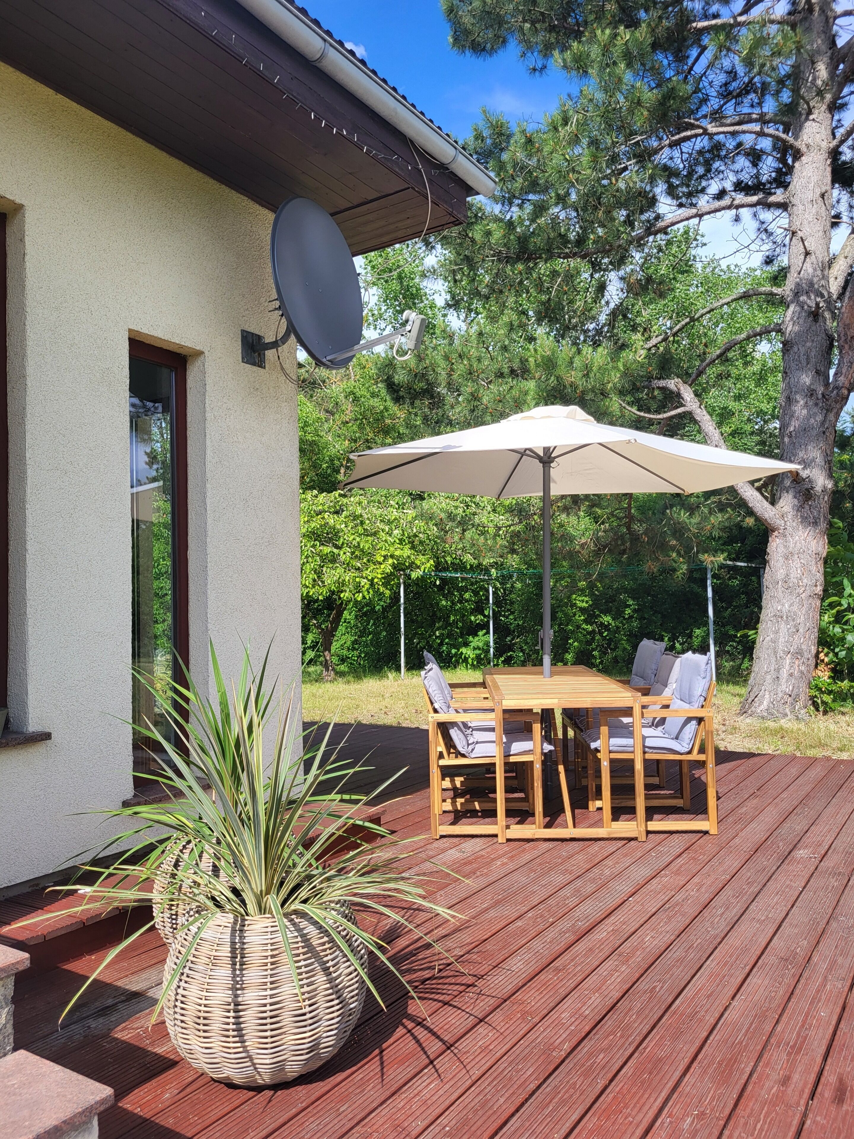 A wooden deck with a table and chairs, a satellite dish, and a large potted plant.