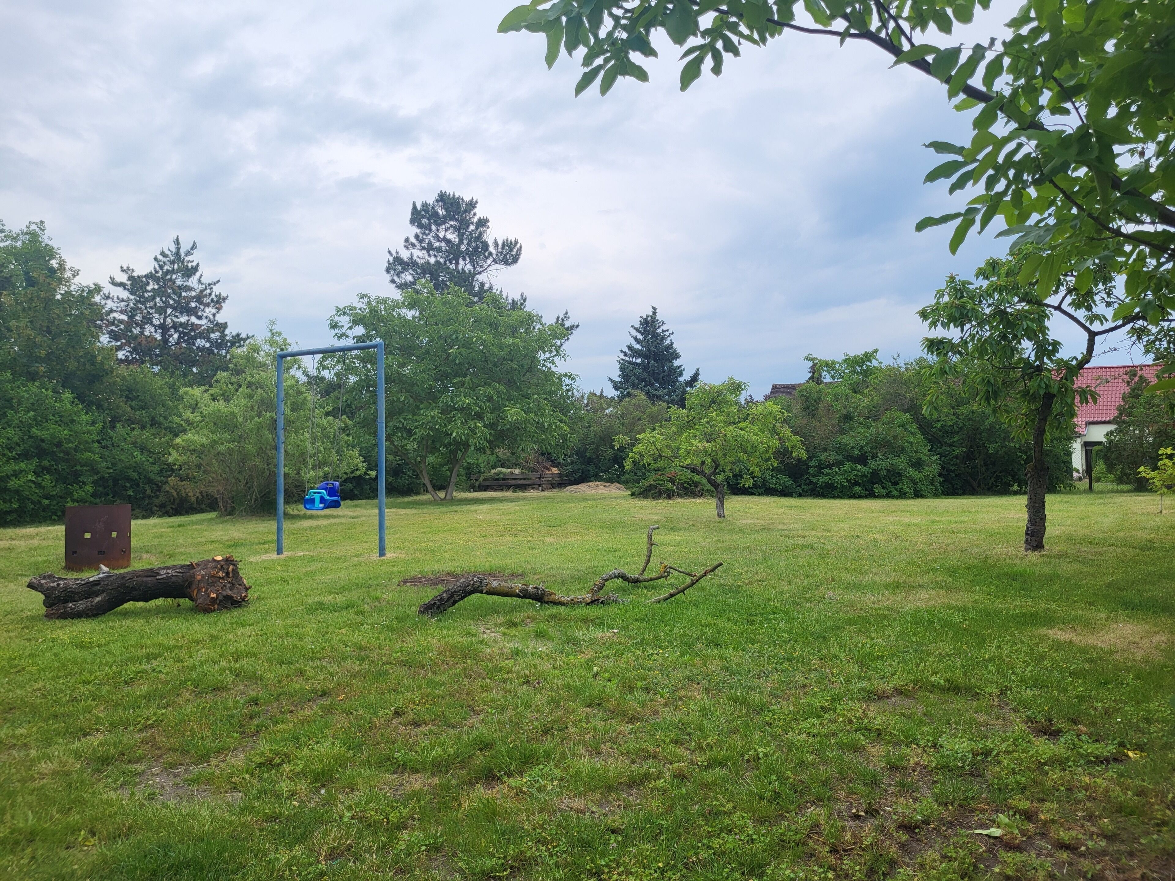 A grassy outdoor area with a swing set, trees, and a building in the background.